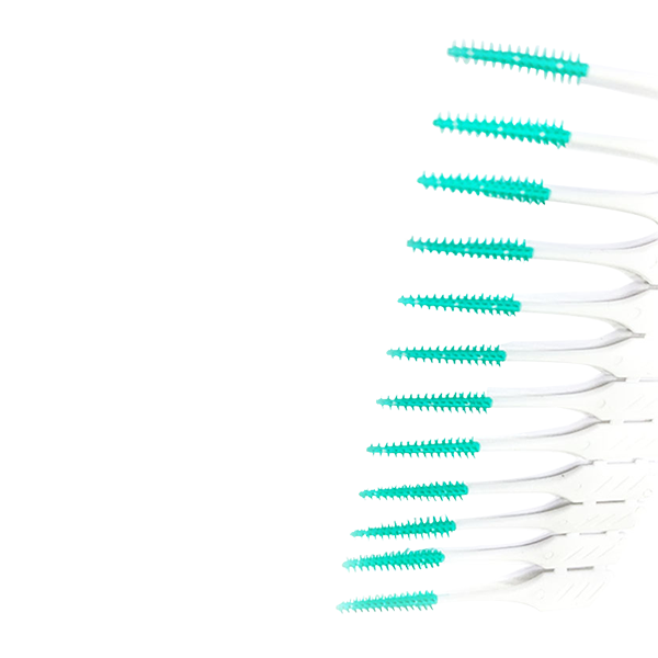 緑色のポータブルボックス間歯間ブラシ